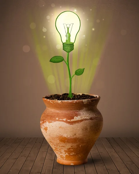 Pianta della lampadina che esce dal vaso da fiori — Foto Stock