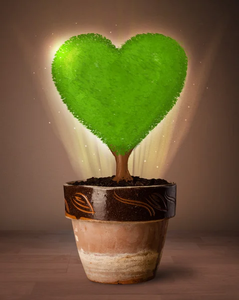 Eco árbol del corazón que sale de maceta — Foto de Stock