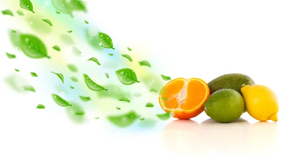 Färgglada frukter med gröna ekologiska blad — Stockfoto
