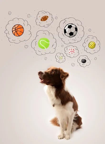 Chien mignon avec des boules dans les bulles de pensée — Photo