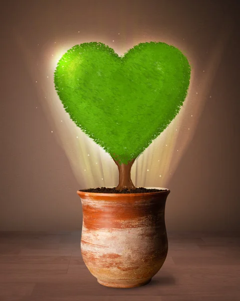 Eco hartboom komt uit de bloempot — Stockfoto