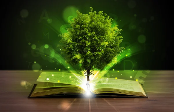 Open book with magical green tree and rays of light — Stock Photo, Image