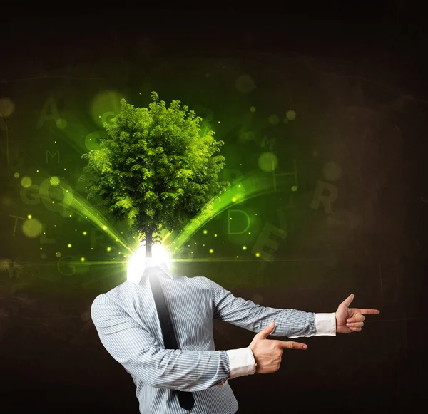 Man with green tree head concept — Stock Photo, Image