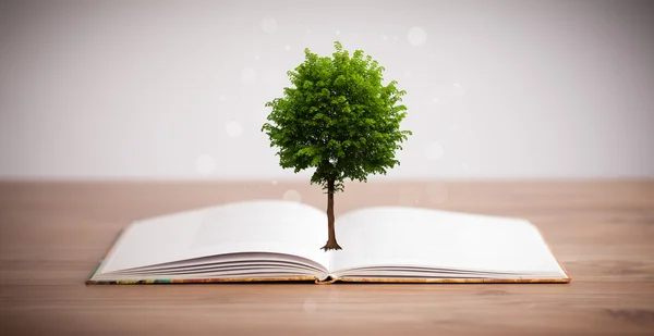 Tree growing from an open book — Stock Photo, Image