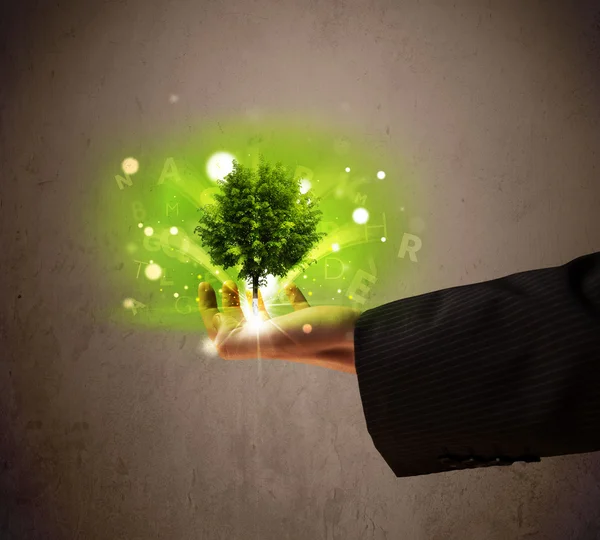 Gloeiende boom groeien in de hand van een zakenman — Stockfoto