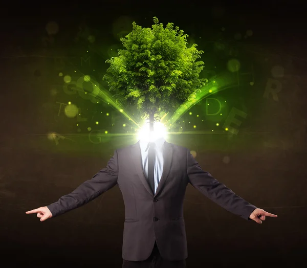Man with green tree head concept — Stock Photo, Image