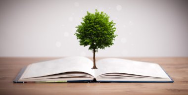 Açık bir kitaptan büyüyen ağaç