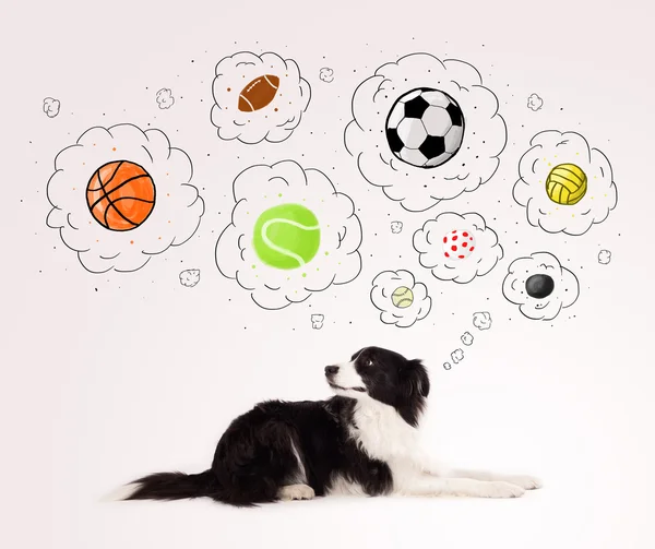 Roztomilý pes s kuličkami v myšlenkových bublinách — Stock fotografie