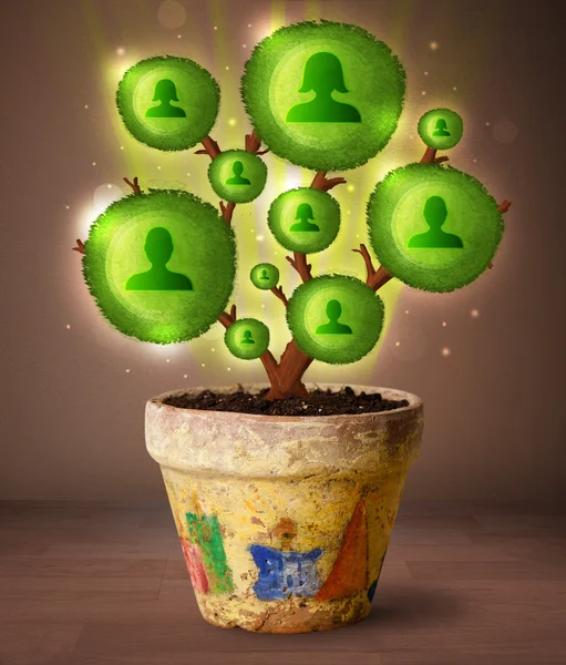 Albero del social network che esce dal vaso da fiori — Foto Stock