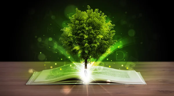 Libro aperto con magico albero verde e raggi di luce — Foto Stock