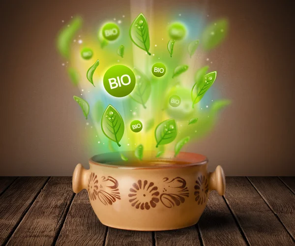 Здоровая био-зеленая тарелка еды — стоковое фото