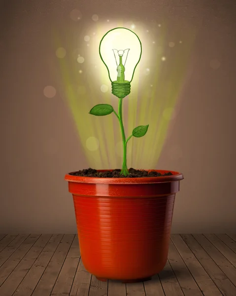 Lightbulb plant coming out of flowerpot — Stock Photo, Image