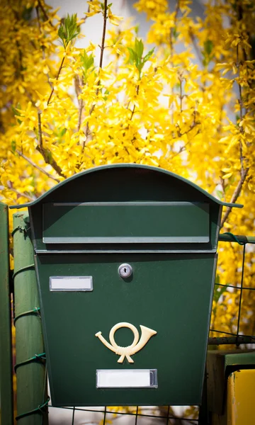 Egy postaládába bújva az utcán. — Stock Fotó