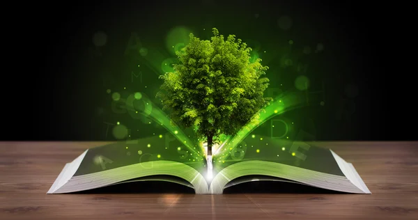 Livro aberto com árvore verde mágica e raios de luz — Fotografia de Stock