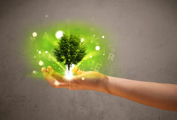 Glowing tree growing in the hand of a woman — Stock Photo, Image