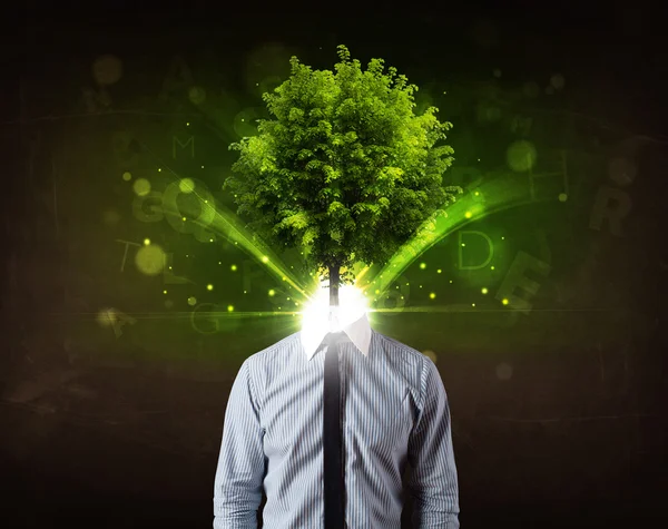 Man with green tree head concept — Stock Photo, Image