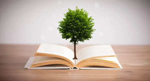 Açık bir kitaptan büyüyen ağaç — Stok fotoğraf