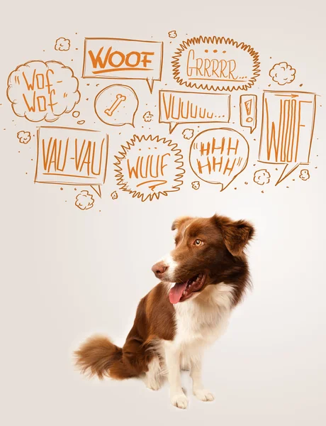 Cute dog with barking bubbles — Stock Photo, Image