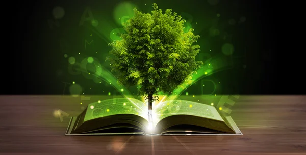 Libro aperto con magico albero verde e raggi di luce — Foto Stock