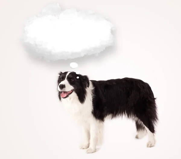 Cute dog with empty cloud bubble — Stock Photo, Image