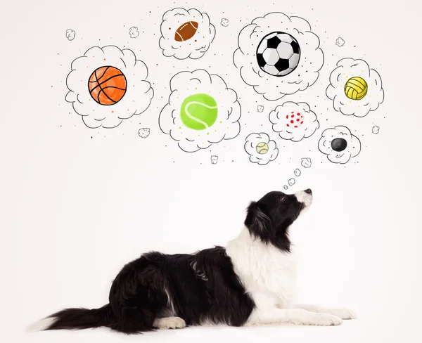 Cute dog with balls in thought bubbles — Stock Photo, Image