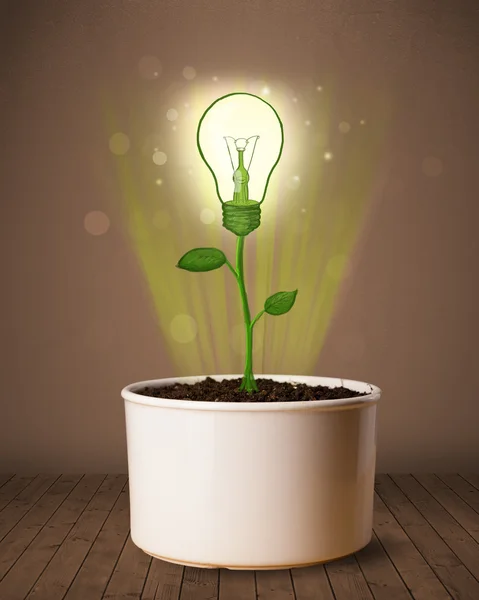 Lightbulb plant coming out of flowerpot — Stock Photo, Image