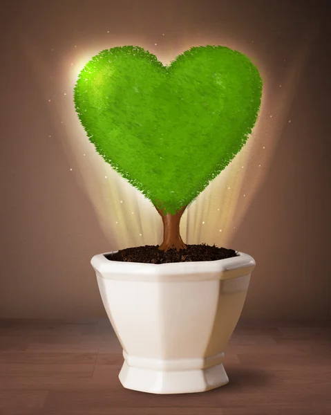 Eco albero del cuore che esce dal vaso da fiori — Foto Stock
