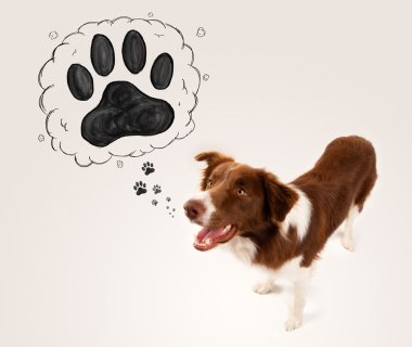 Başının üstünde patisi olan şirin bir çoban köpeği.
