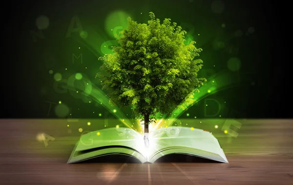 Otwarta książka z magicznym zielonym drzewem i promieniami światła — Zdjęcie stockowe