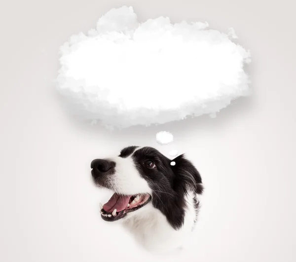 Cute dog with empty cloud bubble — Stock Photo, Image