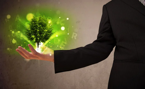 Glowing tree growing in the hand of a businessman — Stock Photo, Image