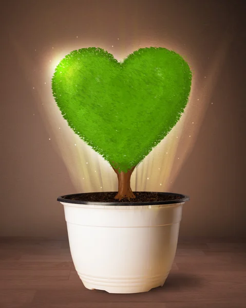 Eco árbol del corazón que sale de maceta — Foto de Stock