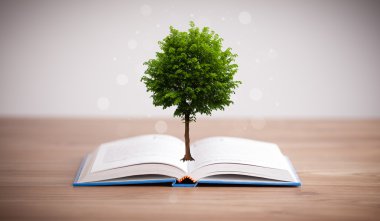Açık bir kitaptan büyüyen ağaç