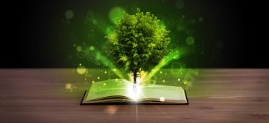 Open book with magical green tree and rays of light