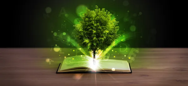 Livro aberto com árvore verde mágica e raios de luz — Fotografia de Stock