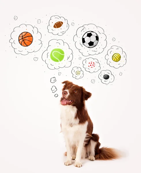 Cute dog with balls in thought bubbles — Stock Photo, Image