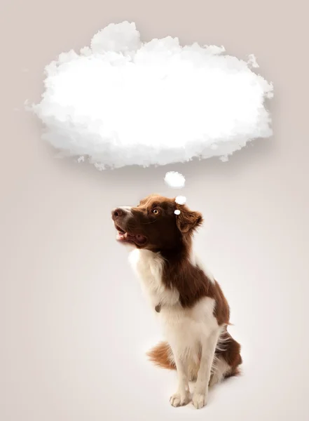 Boş bulut kabarcığı olan şirin bir köpek. — Stok fotoğraf