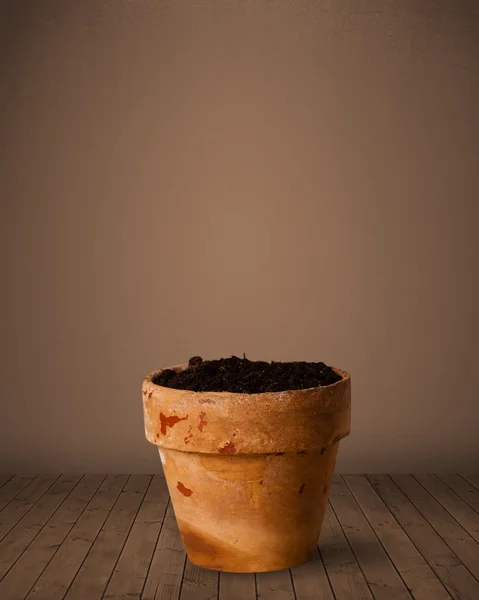 Květináč s kopírovacím prostorem — Stock fotografie