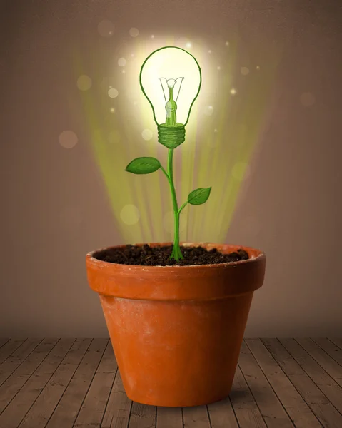 Lightbulb plant coming out of flowerpot — Stock Photo, Image