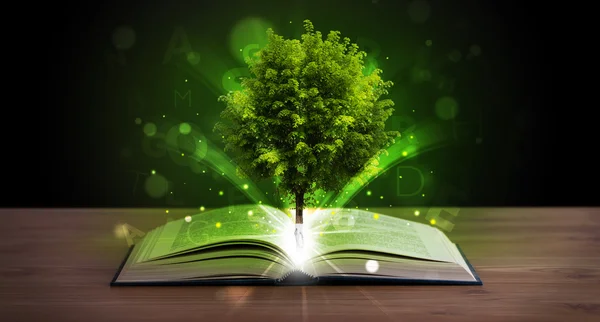 魔法の緑の木と光の線で本を開く — ストック写真