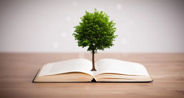 Tree growing from an open book — Stock Photo, Image