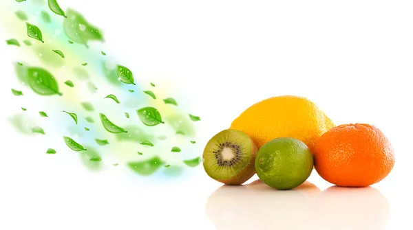 Цветные фрукты с зелеными органическими листьями — стоковое фото