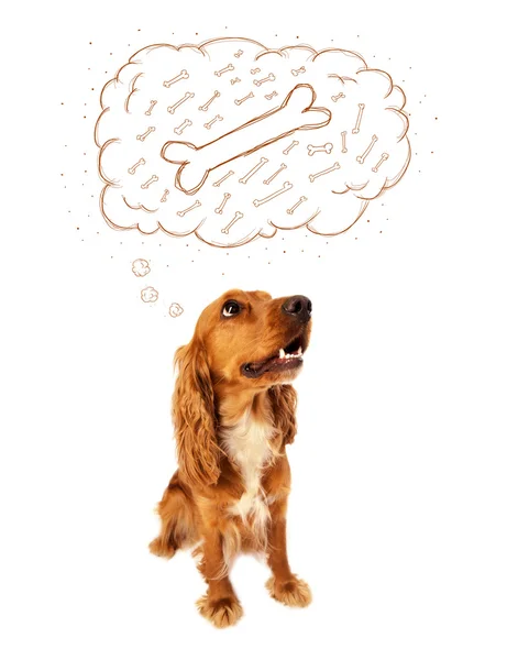 Cute dog with thought bubble thinking about a bone — Stock Photo, Image