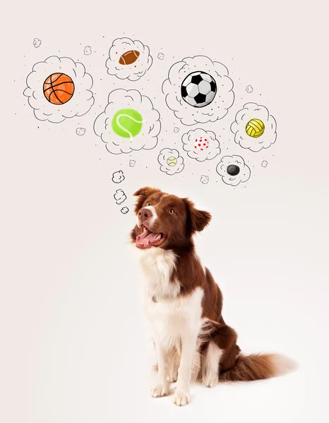 Lindo perro con bolas en burbujas de pensamiento — Foto de Stock