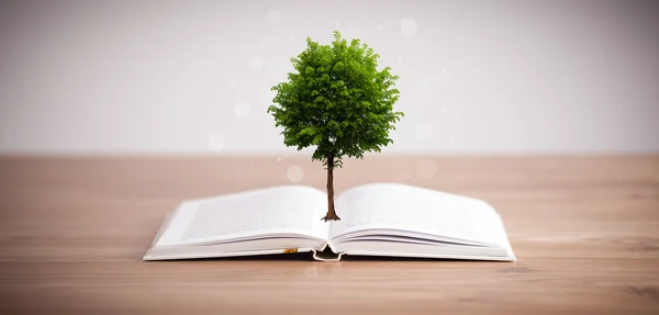 Tree growing from an open book — Stock Photo, Image