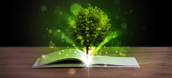 Livro aberto com árvore verde mágica e raios de luz — Fotografia de Stock