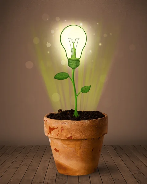 Lightbulb plant coming out of flowerpot — Stock Photo, Image