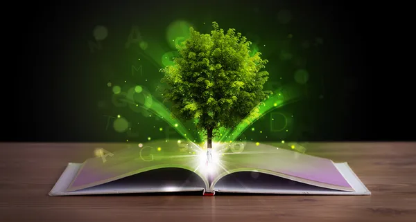 Open book with magical green tree and rays of light — Stock Photo, Image