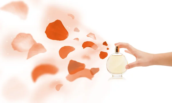 Woman hands spraying rose petals — Stock Photo, Image