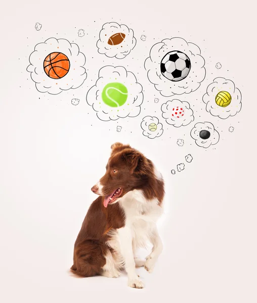 Cute dog with balls in thought bubbles — Stock Photo, Image